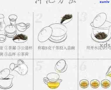 普洱茶冲泡：几分洗茶，几遍饮用全解析