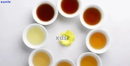 普洱茶的适量饮用量：一天喝多少克最合适？