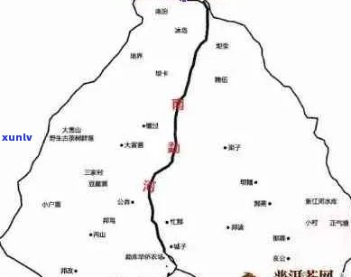 地区古树普洱茶价格一览：品种、年份与品质对比分析