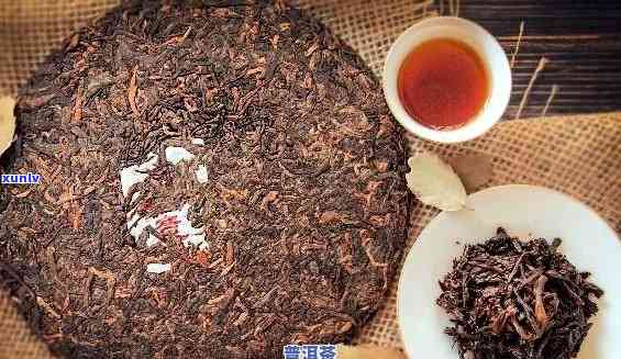 普洱茶：两天的魅力，你了解吗？