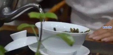 新 探究普洱茶初泡之谜：为何之一遍不能品尝？