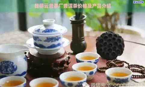 云茶厂普洱茶：品质与价格全解析