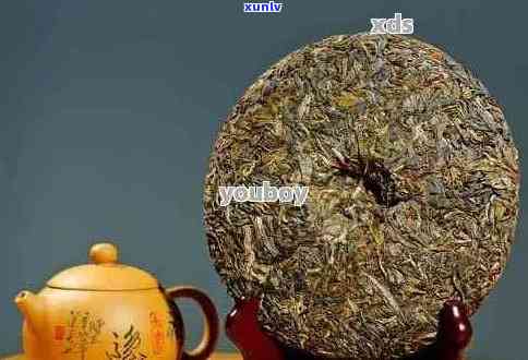 新 品尝普洱茶饼的黄金时间：之一泡等待多久才能享用？