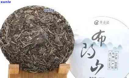 开山普洱茶：品种特点、品质鉴别与饮用 *** 全面解析