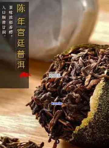 陈皮普洱茶多钱一斤