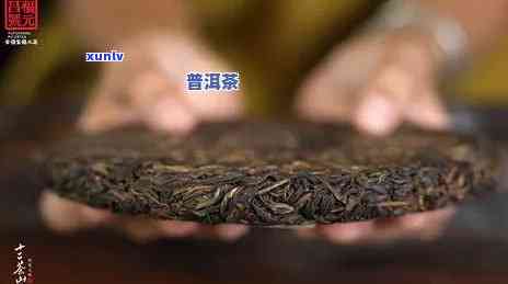 玖妙普洱茶357克礼盒：价格、品质与收藏的全面解析