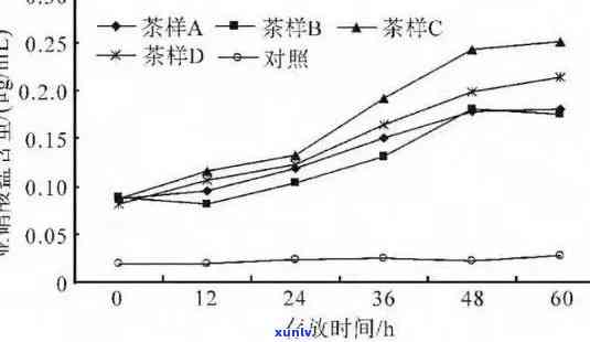 探究井水泡茶的可行性：水质、度与茶叶选择的影响