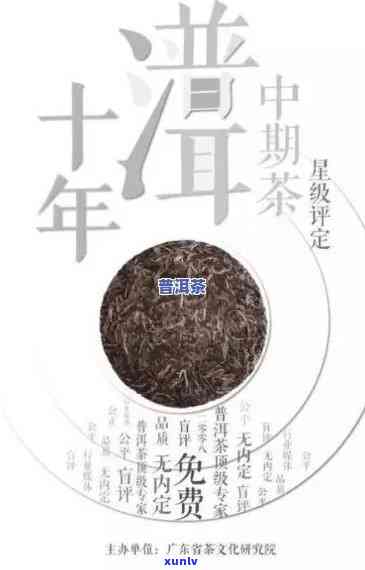 普洱茶的历起源及其发展：哪一年普洱茶诞生？