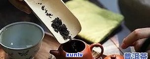 熟普洱茶用壶的泡法：煮普洱茶的工具及步骤