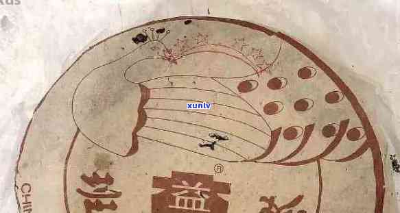 2003年五星雀普洱生茶：品鉴与购买指南，了解品质与口感，如何保存与泡法