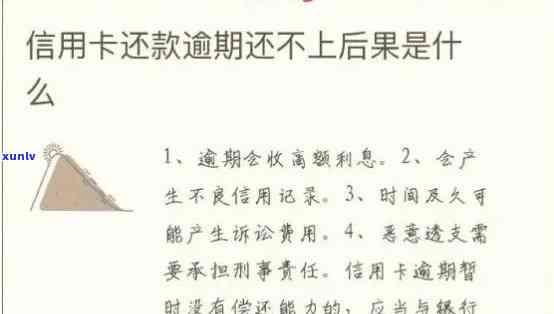 信用卡债务利息累积：处理策略和避免高额利息影响