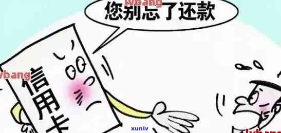 欠信用卡利息不还有什么后果：探讨未还款的影响和解决方案