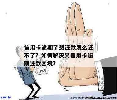 信用卡逾期还款困扰：利息过高如何解决？