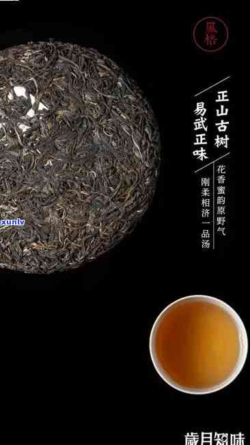 易武曼松古树茶熟茶普洱茶念饼：曼松古树特点与价格解析