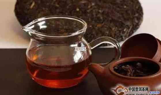 老年人饮用老普洱茶的种类、功效与注意事项：一篇全面的指南