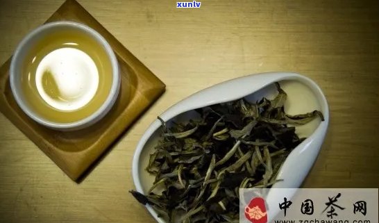 四品茗：普洱茶的四韵味探究