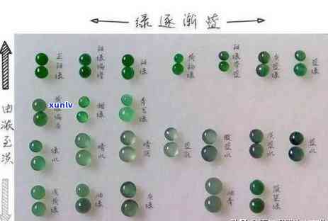 彩色翡翠的价格及其珍贵性的探讨：从色彩到品质的全方位解析