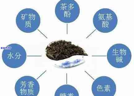 普洱茶重金属含量高吗：探究普洱茶中重金属的现状与影响