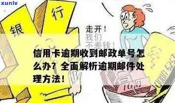 邮政信用卡逾期还款提醒及解决方案全面解析