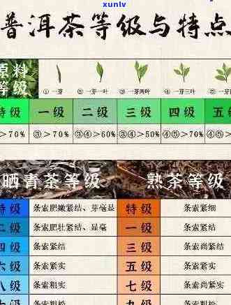 全面解析：几十块一提的普洱茶真伪辨别 *** 与品质优劣对比