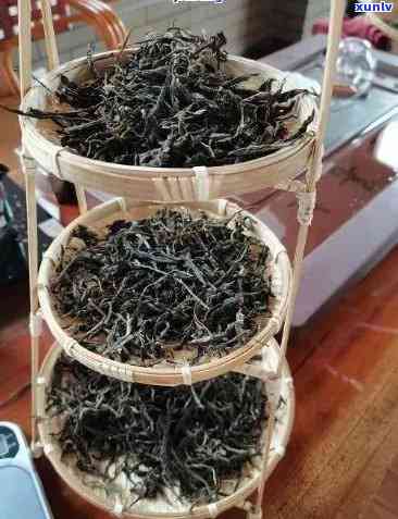 用普洱茶 *** 的罐装饮品：从茶叶罐到茶饮料罐