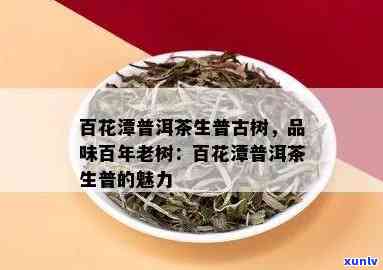 百花潭普洱茶：生普古树茶的品质、历与收藏价值全面解析