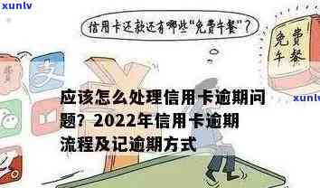 2022年信用卡逾期还款全流程攻略：如何应对、处理和解决逾期问题