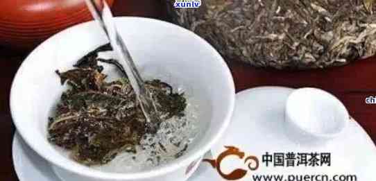 泡普洱茶的水：度与口感关系探讨