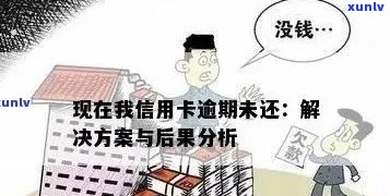 普洱茶贸易市场价格表最新批发价格一览