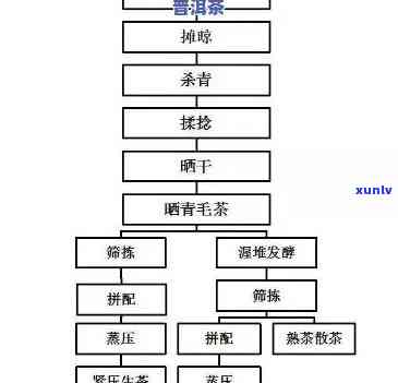 普洱茶的十大基本常识及其 *** 工艺详解