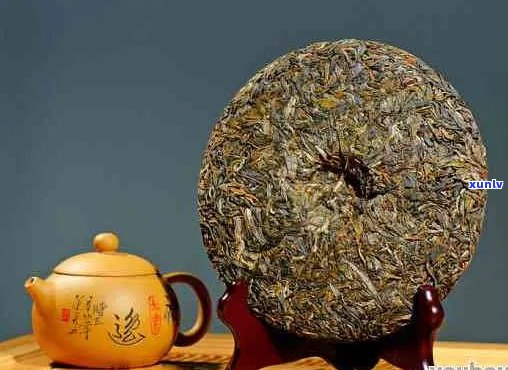 千头万绪普洱茶价格