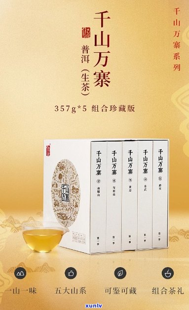 千头万绪普洱茶价格