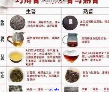 吉凤祥普洱茶：品质与价格对比分析，一瓶多少钱？