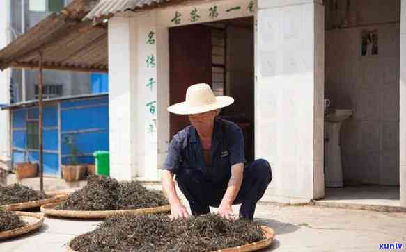 勐海义茶叶：传承古法制茶，打造高品质普洱茶臻品