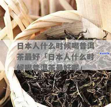 人普洱茶：喜欢喝吗？出口情况如何？