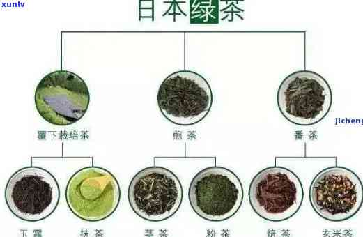 人常喝的茶是什么茶？