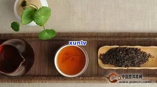 普洱茶喝了一半怎么处理？如何保存剩余的普洱茶？