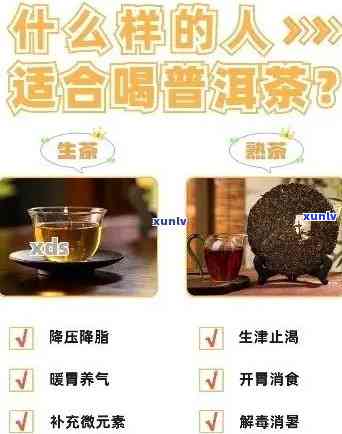 多囊综合症喝普洱茶：好处、效果与适宜性分析