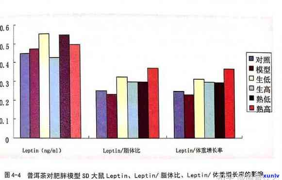 研究揭示：普洱茶中的成分与雄性激素水平之间的潜在联系