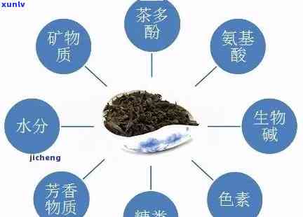 研究揭示：普洱茶中的成分与雄性激素水平之间的潜在联系