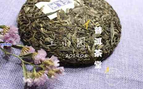 陈味的普洱茶好不好：品鉴与评价