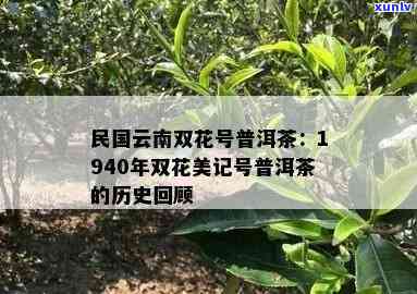 双茶花为记普洱易武美记民国旧茶