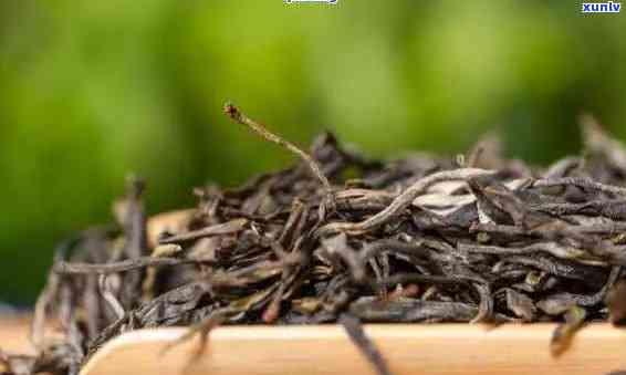 普洱茶晒青要一年吗？探讨普洱茶的晒青与炒青及保存期限