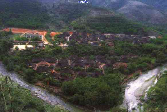 六大茶山：探究普洱茶的产地及其特色