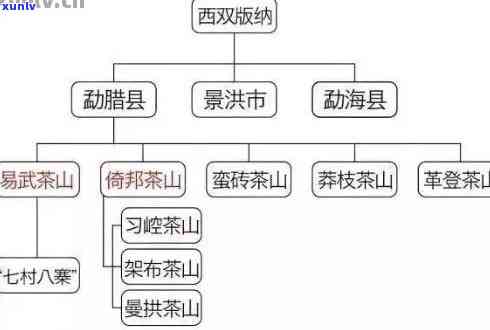 六大茶山：探究普洱茶的产地及其特色