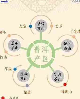 六大茶山详解：普洱茶各产地特色及品种分析