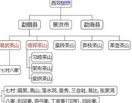 六大名山普洱茶：品味地域特色与文化底蕴的全方位指南