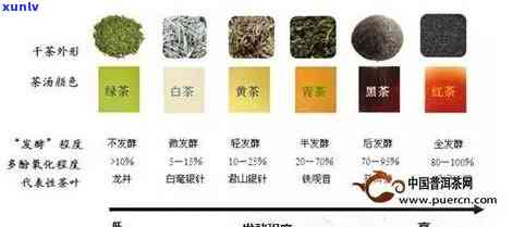 新探究普洱茶色的奥秘，了解其与发酵程度、原料等因素的关系