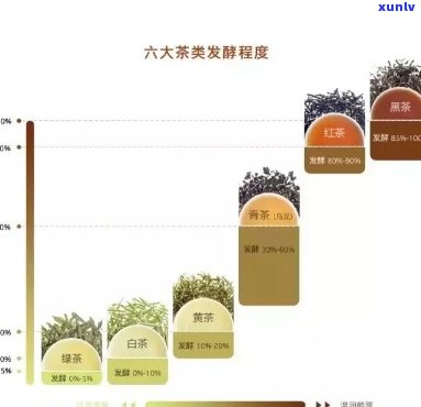 新探究普洱茶色的奥秘，了解其与发酵程度、原料等因素的关系