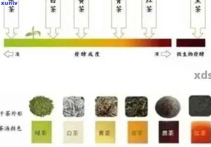 普洱茶色的颜色，浑浊原因及价位。